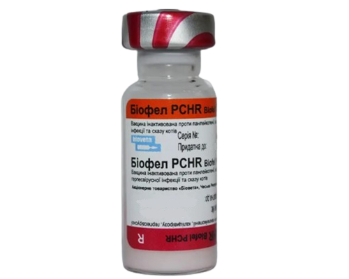 Вакцина Биофел PCHR для кошек 1 флакон 1 доза BioVeta