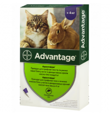 Адвантейдж для котів від 4 кг 1 піпетка Bayer 