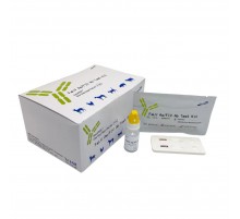 Экспресс-тест Дирофиляриоза собак Ag Test(CHW Ag) VetLaboratories Корея