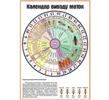 Календарь вывода маток с вращаюмся кругом АВВ-100