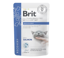 Влажный корм для кошек GF VD Рекавери пауч лосось 85 г Brit Premium