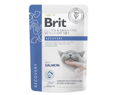 Вологий корм для кішок GF VD Рекавери пауч лосось 85 г Brit Premium