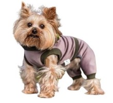 Комбинезон для собак Rex Grey S1 В 40-45 см С 30-33 см SmartPet
