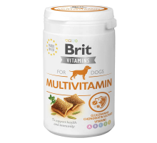 Вітаміни Brit Vitamins Multivitamin для собак 150г 