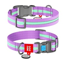 Нашийник WAUDOG Nylon Світлонакопичувальні фіолетовий 25 мм х 31-49 см COLLAR 45649