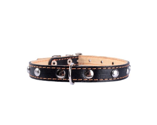 Ошейник Collar одинарный с украшениями ширина 20 мм  длина 32-40 см черный 0135 1
