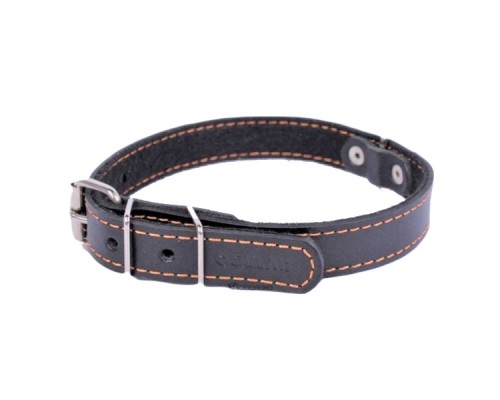 Ошейник Collar одинарный с синтепоном ширина 20 мм  длина 32-40 см черный 0137 1
