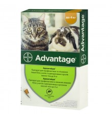 Адвантейдж для котів до 4 кг 1 піпетка Bayer 