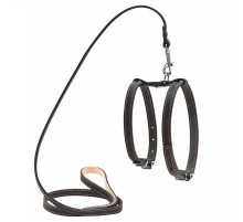 Шлея для собак мелких пород  CoLLaR с поводком ширина 14 мм А 27-35 см В 35-45см длина 122 см черная Collar