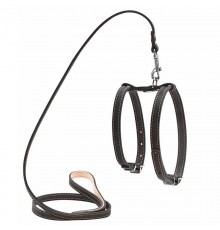 Шлея Collar 16 мм з повідцем для дрібних собак чорна 05471")