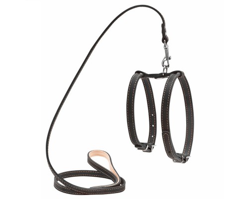 Шлея Collar 16 мм з повідцем для дрібних собак чорна 05471")