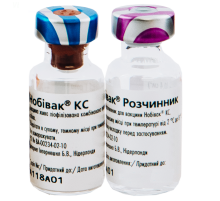 Вакцина Нобивак KC против бордетельоза и парагриппа собак 2 флакона 1 доза Intervet