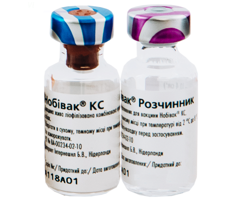 Вакцина Нобивак KC против бордетельоза и парагриппа собак 2 флакона 1 доза Intervet
