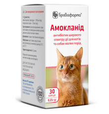 Амокланід 0,25 г порошок у капсулах №30 Бровафарма