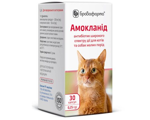 Порошок в капсулах Амокланид 0,25 г антибактериальный препарат широкого спектра действи №30 Бровафарма