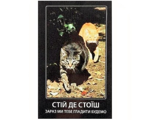 Табличка МТ-123 Стій де стоїш ПЕСиК