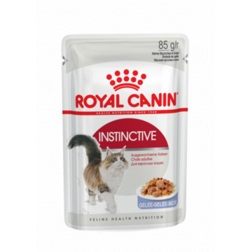 Корм для котов Роял Royal Canin FHN INSTINCTIVE желе пауч 85 г